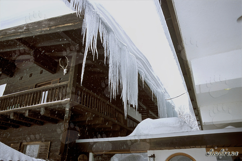 Magnifiques stalactites dans les Alpes bavaroises