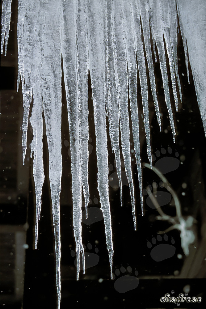 Schöne Eiszapfen hängen von einem Dach in Mittenwald, Bayern