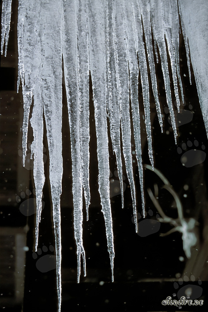 Beautiful icicles hanging from a roof in Mittenwald, Bavaria