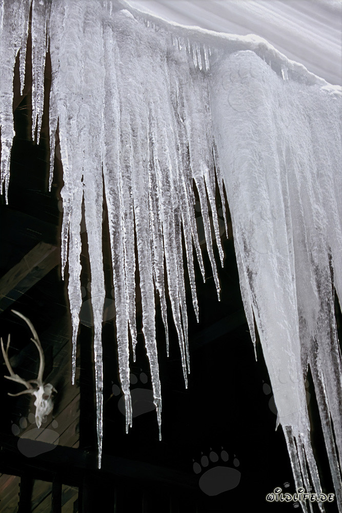 Fascinating Icicles in Mittenwald, Bavaria