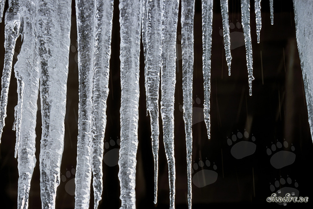 Fascinantes estalactitas de hielo en Mittenwald, Baviera