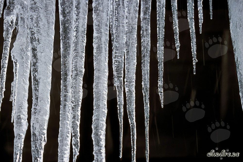 Fascinating Icicles in Mittenwald, Bavaria