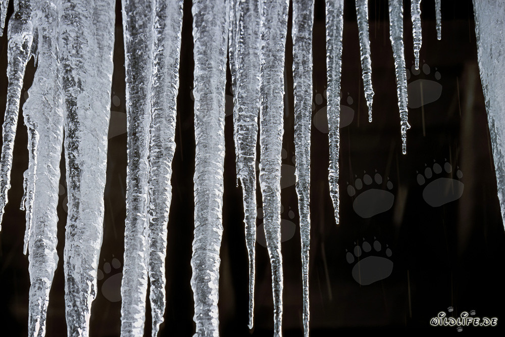 Étonnantes stalactites de glace à Mittenwald, Bavière