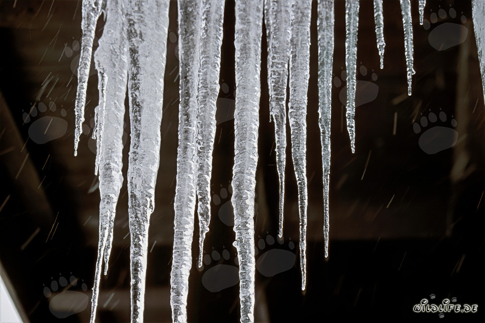 Fascinantes estalactitas de hielo en Mittenwald, Baviera