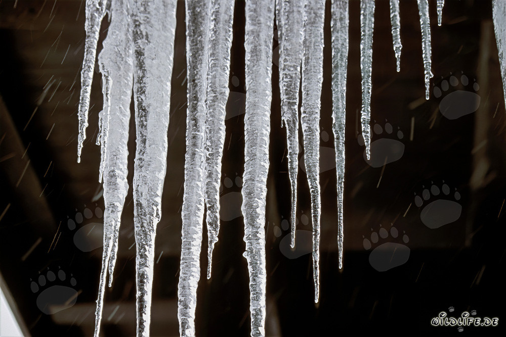 Impressionnantes stalactites de glace à Mittenwald, Bavière