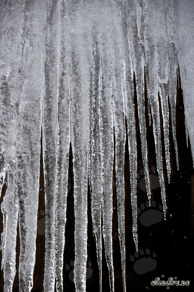 Fascinantes estalactitas de hielo en Mittenwald, Baviera