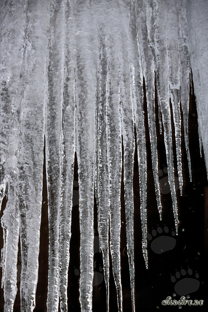 Fascinating Icicles in Mittenwald, Bavaria