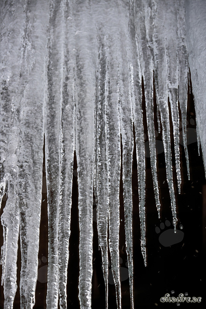 Étonnantes stalactites de glace à Mittenwald, Bavière