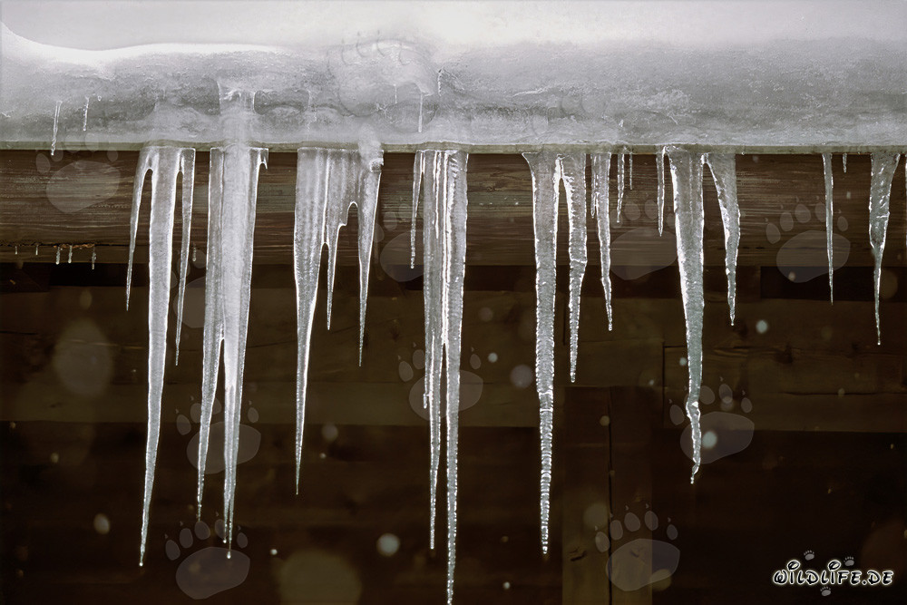Élégants stalactites à Mittenwald, Bavière
