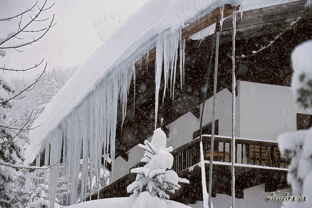 Faszinierende Eiszapfen in der winterlichen Landschaft von Bayern
