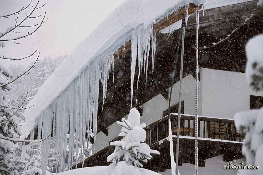 Fascinating icicles in the winter landscape of Bavaria