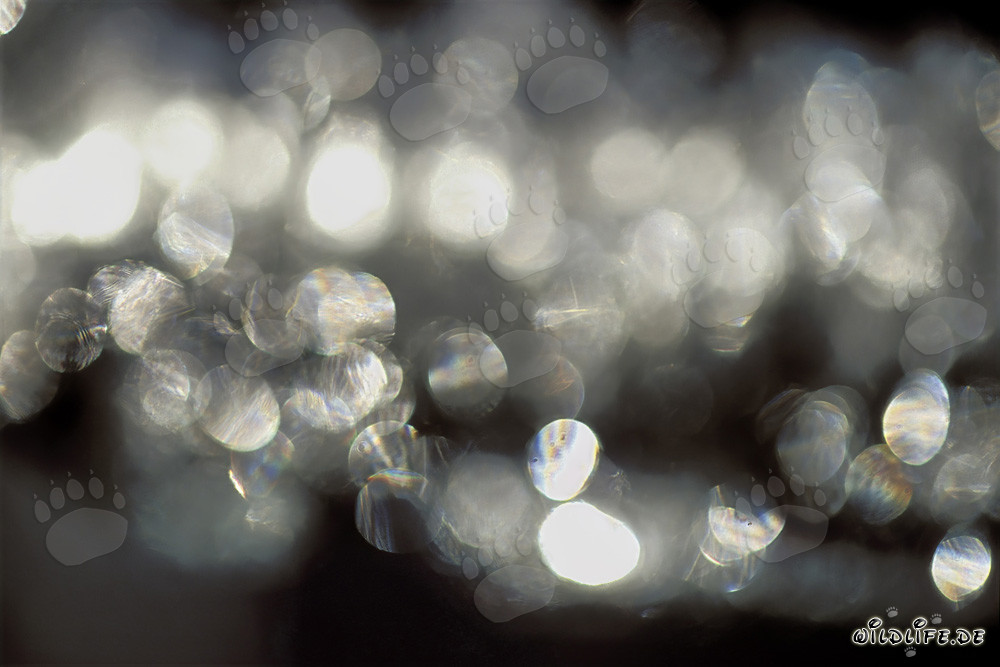 Hermosos estalactitas de hielo con fascinantes reflexiones bajo la luz del sol
