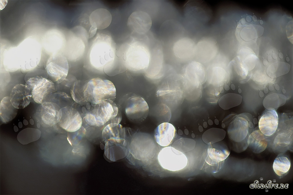 Magnifiques stalactites de glace avec des réflexions fascinantes sous la lumière du soleil