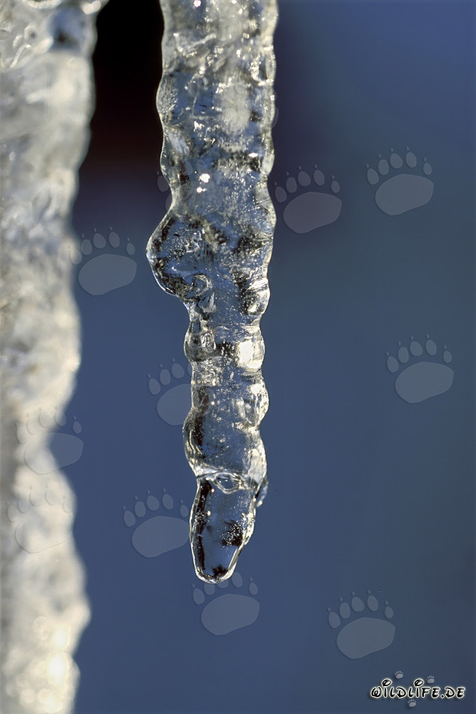 Fascinantes estalactitas de hielo en Mittenwald, Baviera