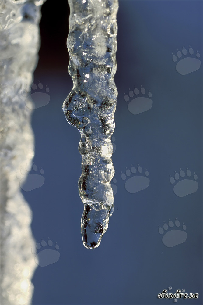 Fascinating Icicles in Mittenwald, Bavaria