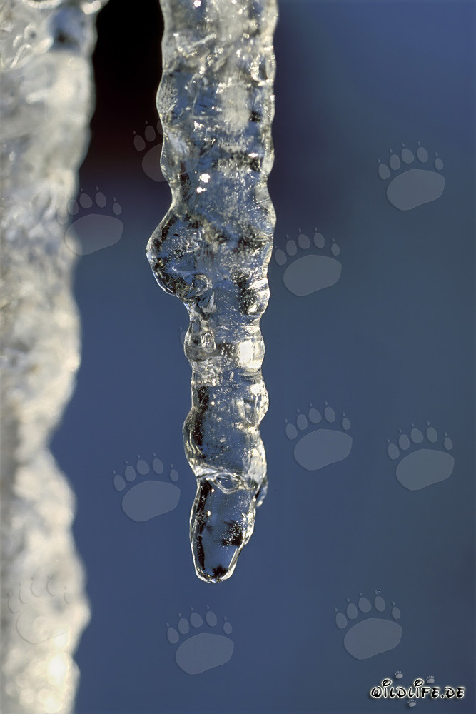 Étonnantes stalactites de glace à Mittenwald, Bavière