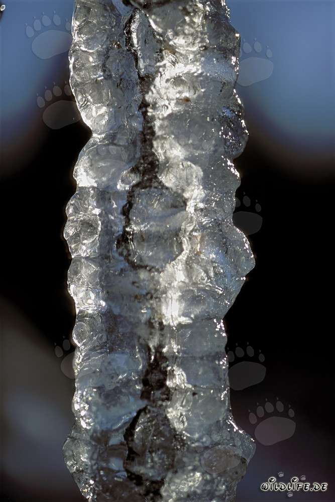 Faszinierende Eiszapfen in winterlicher Landschaft