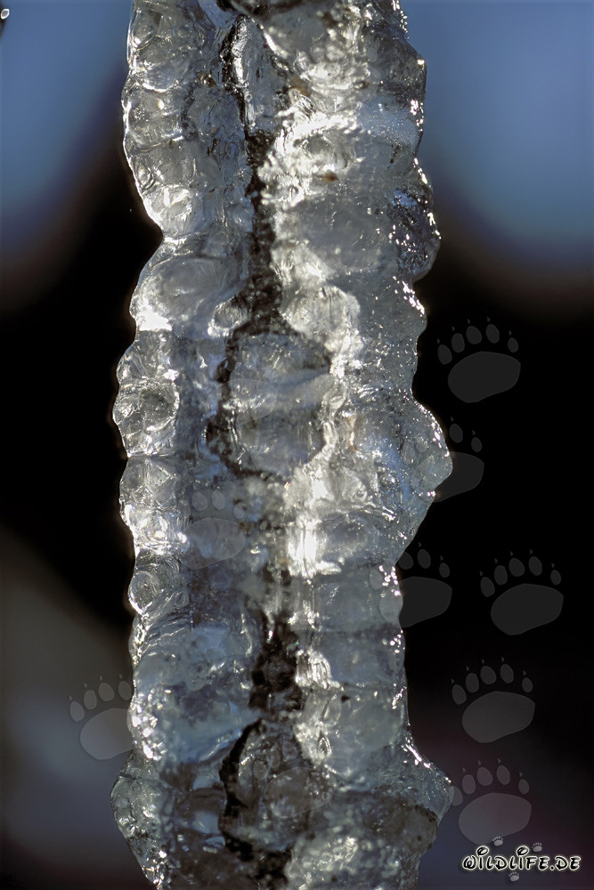 Fascinating icicles in a winter landscape