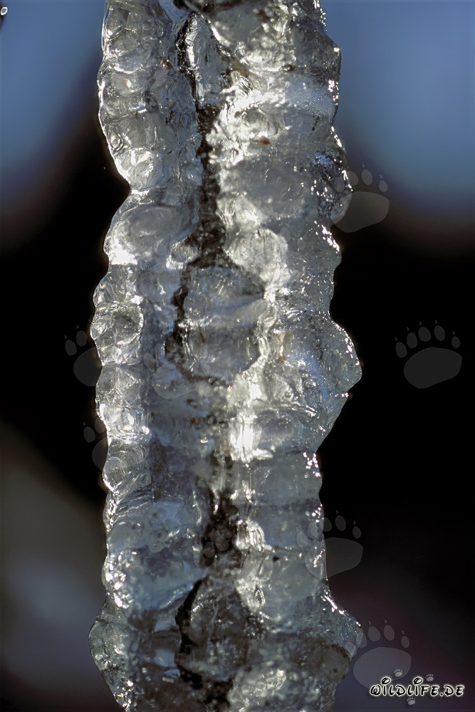 Des stalactites fascinants dans un paysage hivernal