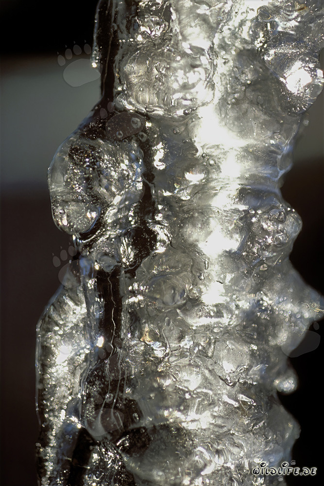 Icicles brillantes colgando del techo