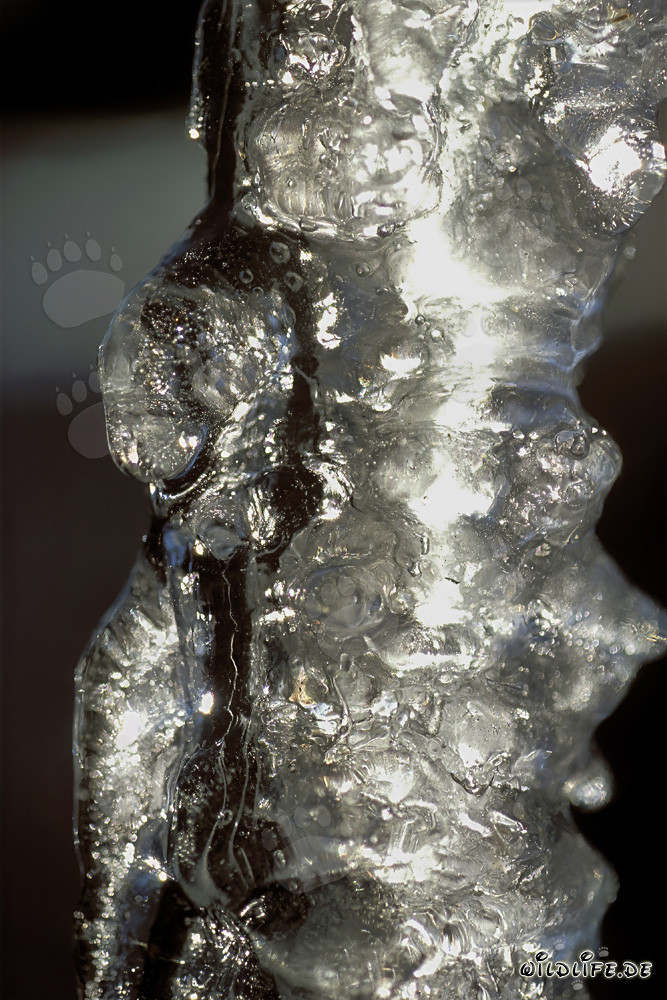 Des stalactites scintillants accrochés au toit