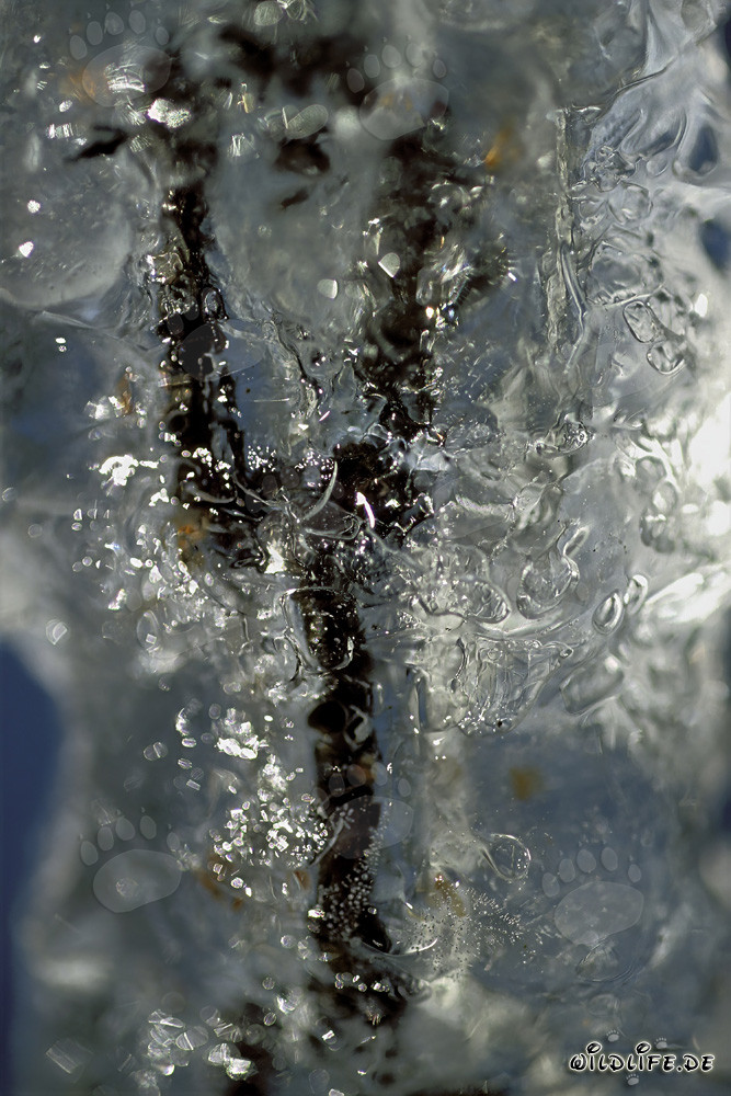 Icicles fascinantes en Mittenwald, Baviera