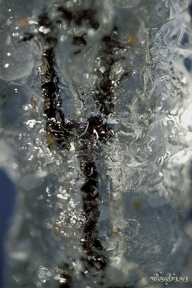 Icicles fascinants à Mittenwald, Bavière