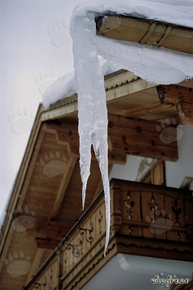 Faszinierende Eiszapfen in Mittenwald, Bayern