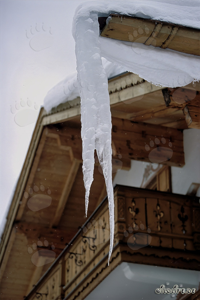 Fascinating Icicles in Mittenwald, Bavaria