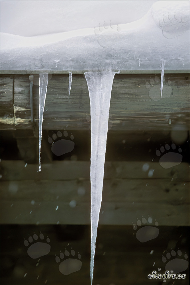 Des stalactites fascinants dans le paysage hivernal de Mittenwald, Bavière