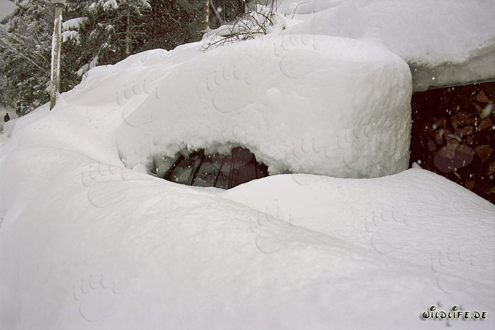Winterlandschaft: Eingeschneites Auto in Mittenwald, Bayern