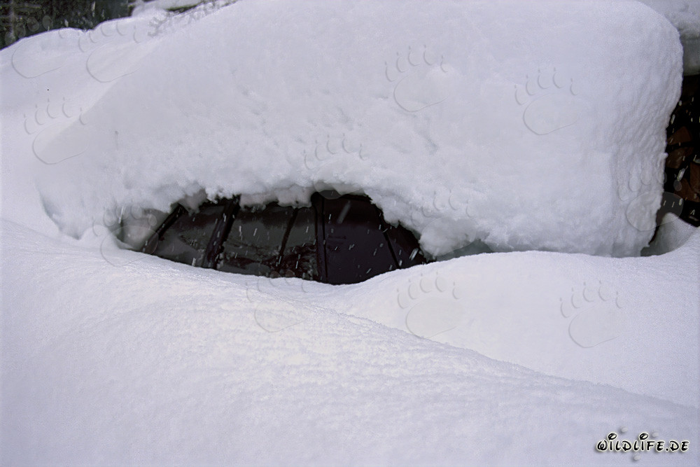 Aufwendige Restaurierung eines alten Autos in Mittenwald, Bayern, Deutschland