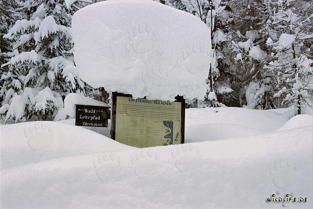 Idyllic Snow-Covered Signpost in Mittenwald, Bavaria