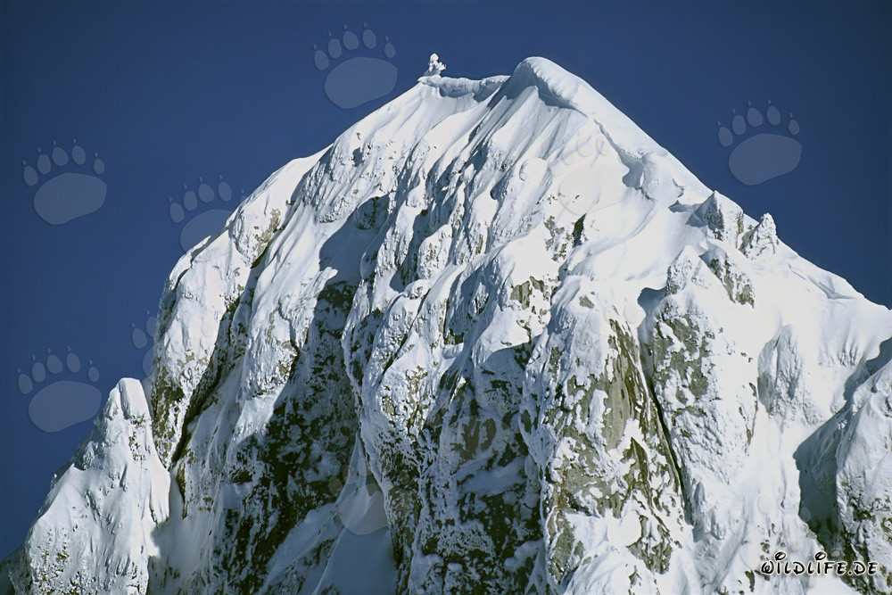 Pic ouest du Karwendel couvert de neige en hiver