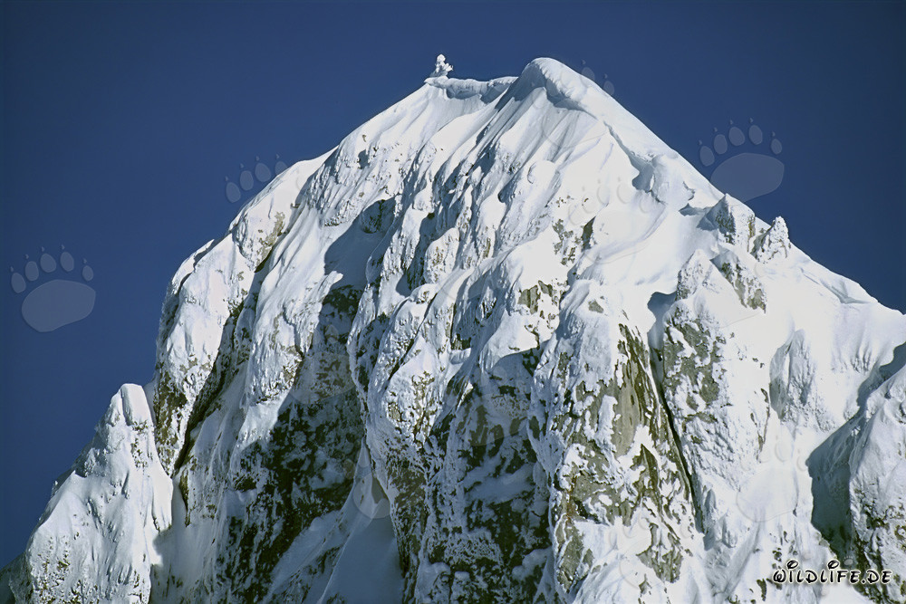 Snow-covered Western Karwendel Peak in Winter