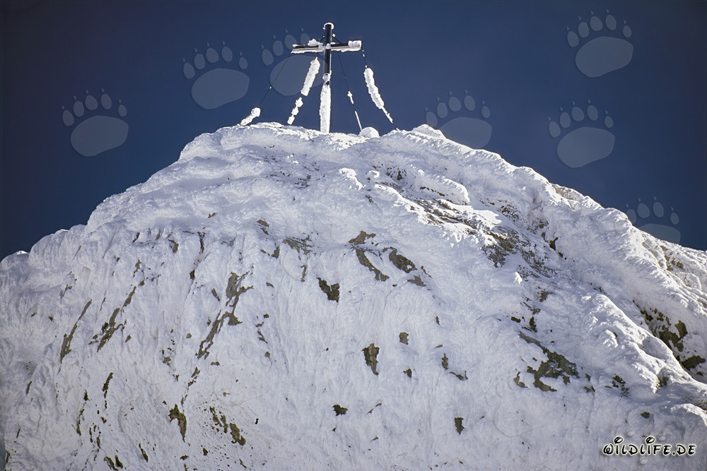 Maestoso picco occidentale del Karwendel in inverno