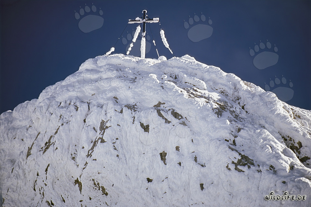 Majestätische Westliche Karwendelspitze im Winter