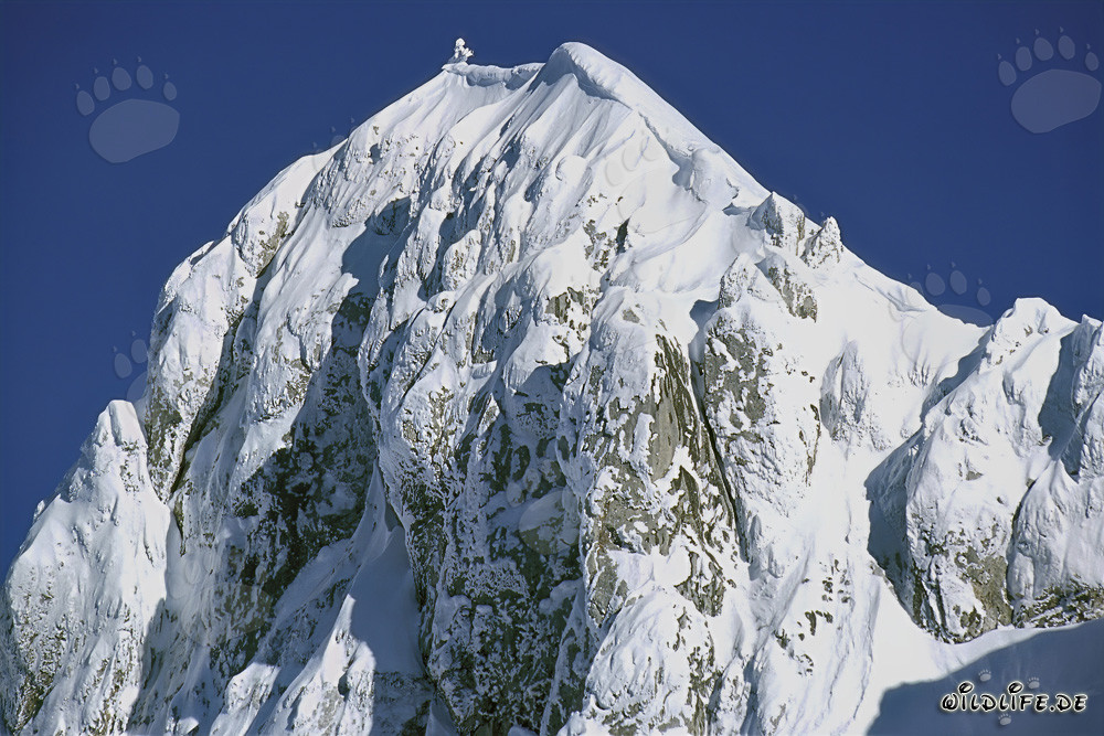 Cima occidentale dell'Altipiano di Karwendelspitze a Mittenwald, Baviera, Germania