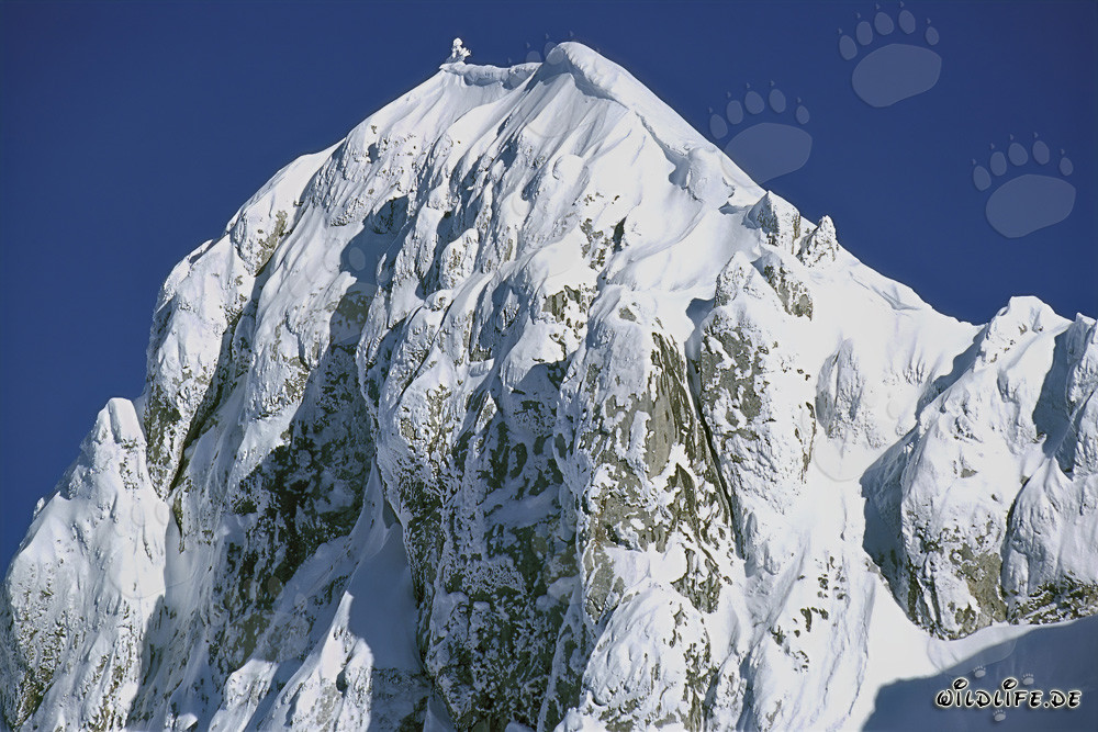 Pico de la cordillera occidental de Karwendelspitze en Mittenwald, Baviera, Alemania