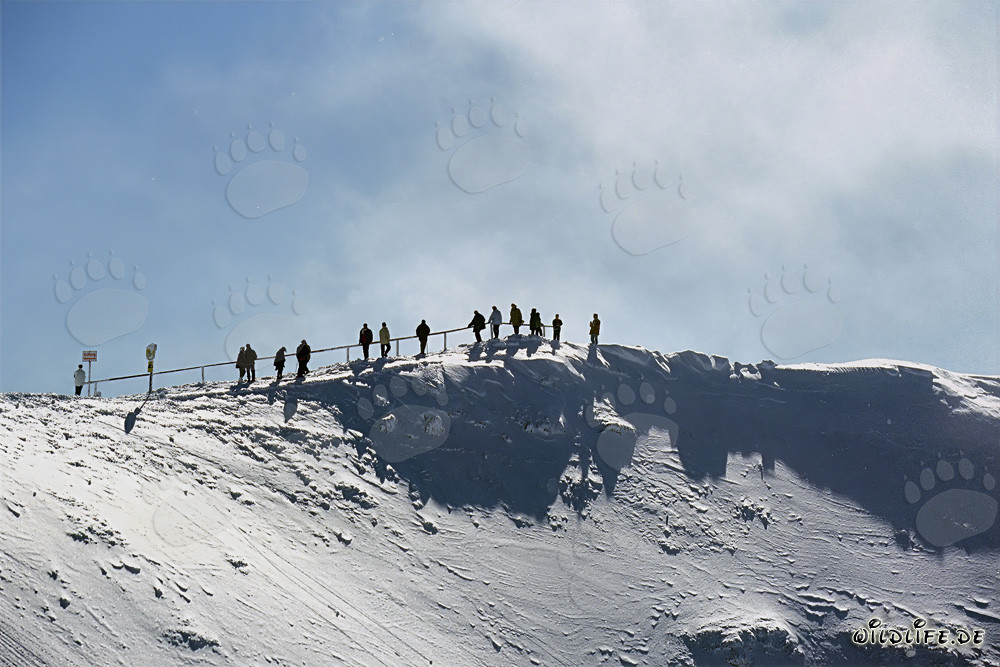 Exploring the Panorama Trail at the Karwendel Cable Car Mountain Station in Mittenwald