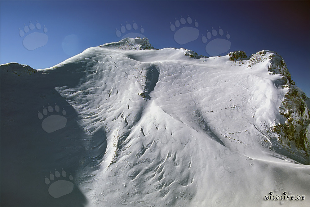 Majestätische Westliche Karwendelspitze im Winterwunderland