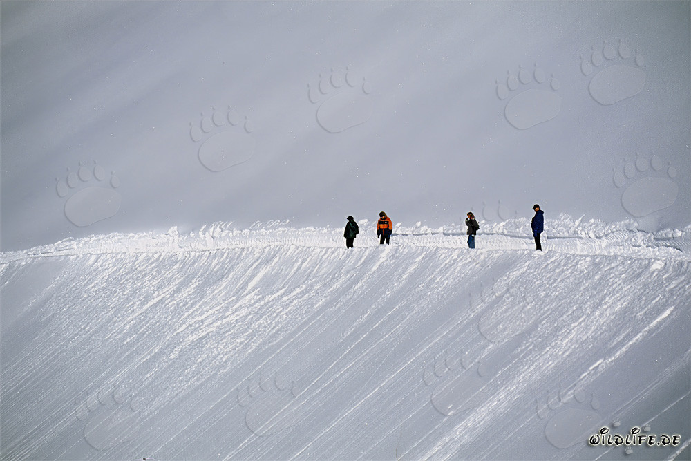 Escursione invernale sul sentiero panoramico in alta montagna innevata