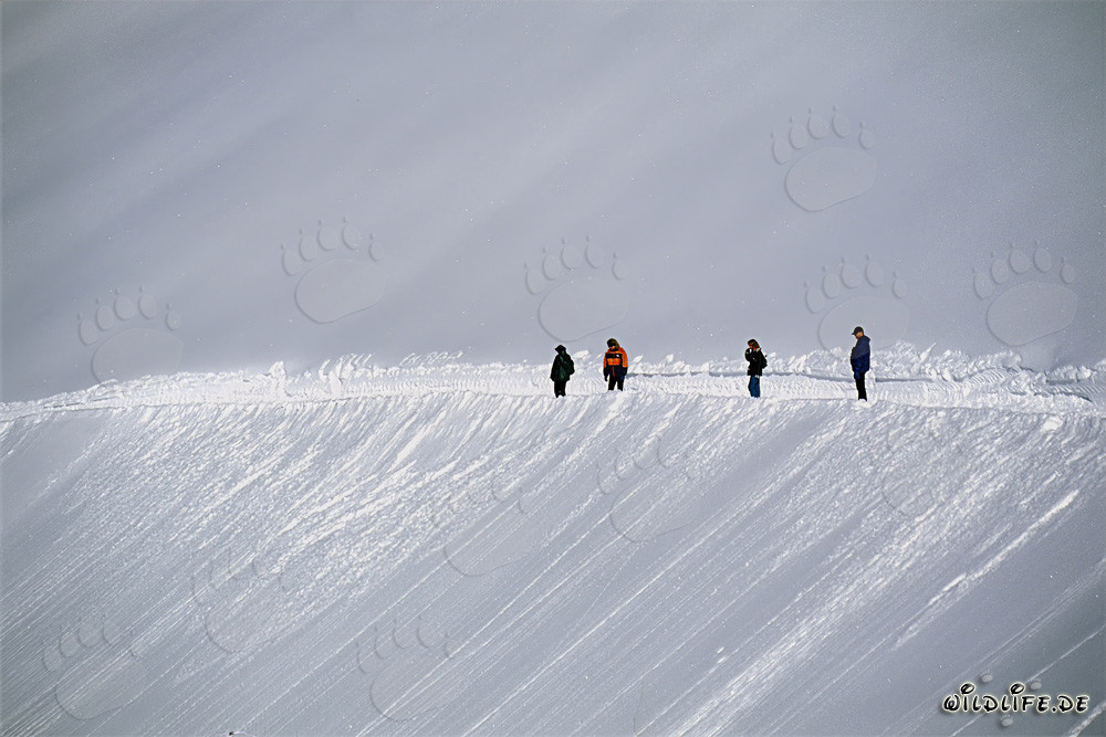 Randonnée hivernale sur le sentier panoramique en montagne enneigée