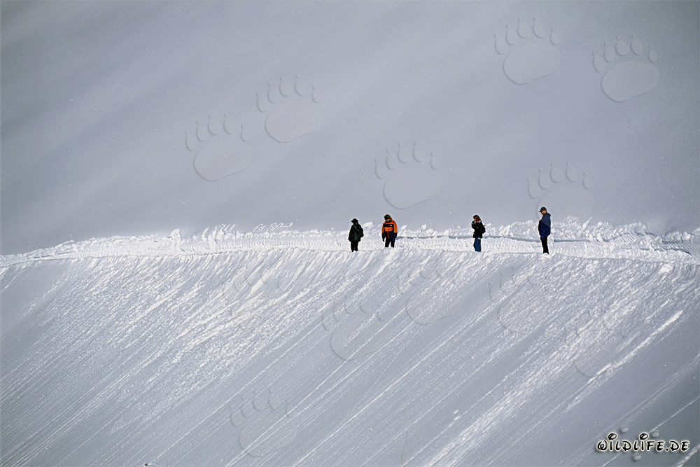 Winter hike on the panoramic trail in the snow-covered mountains