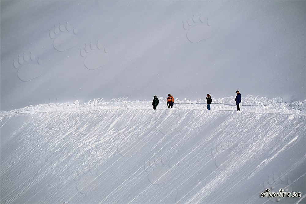 Winterwanderung auf dem Panoramaweg im verschneiten Hochgebirge