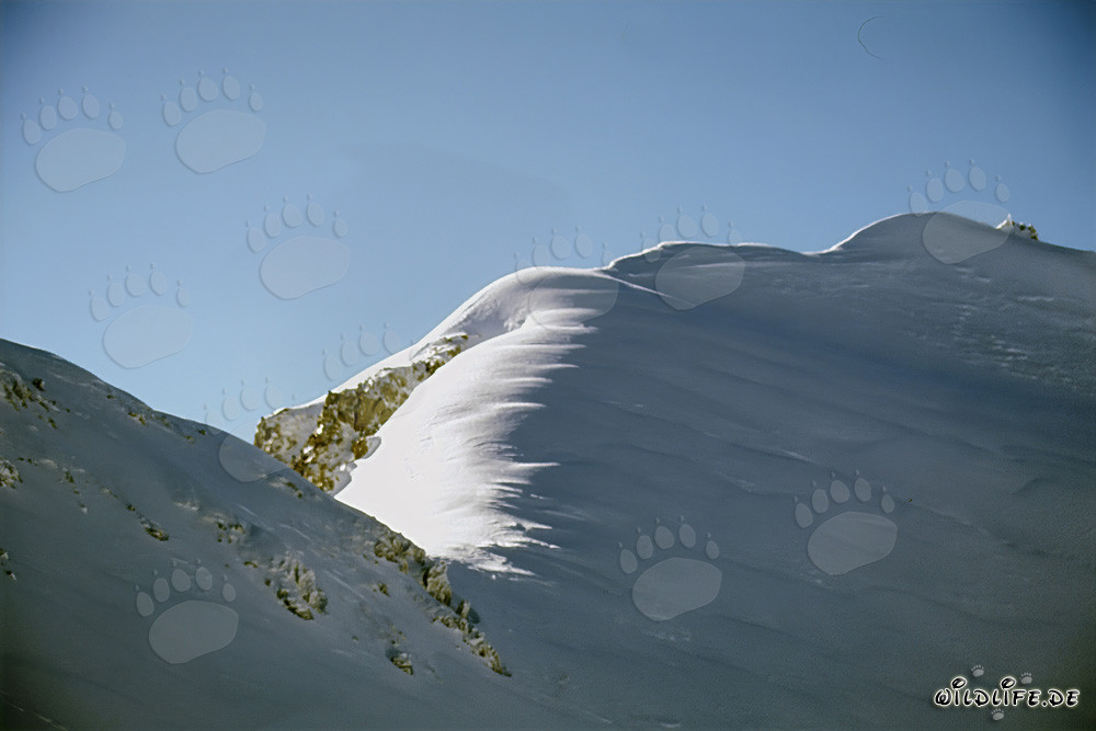 Magical Winter Landscape in the Karwendel Mountains