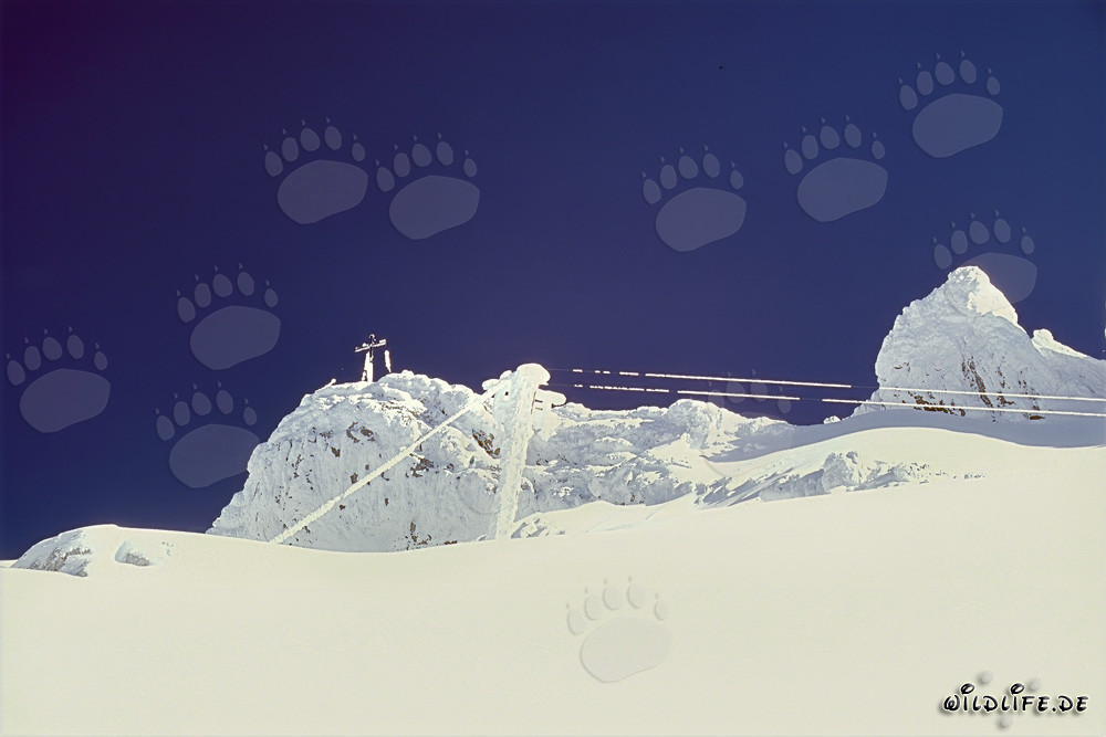 Ice age on the cableway in the snow-covered Karwendel Mountains