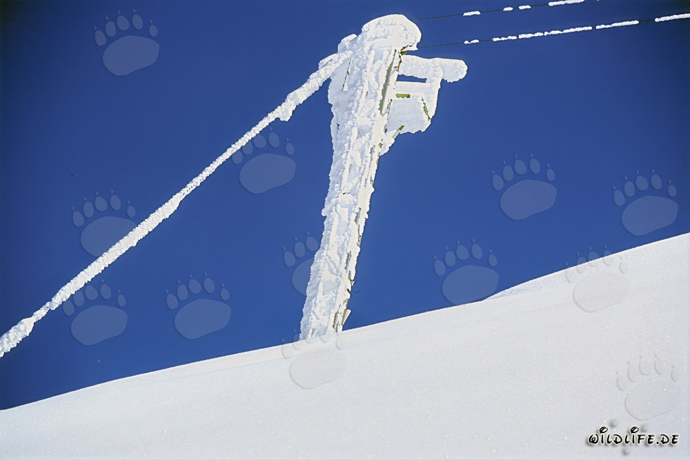 Icy pillar of the material cableway in the wintry Karwendel Mountains