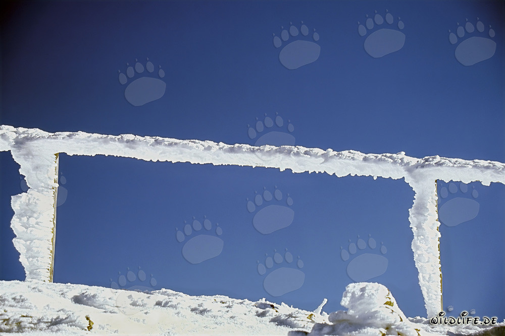 Garde-corps verglacé à la station de montagne du téléphérique de Karwendel en Bavière