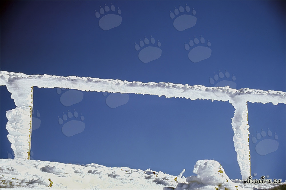Ice-covered railing at the Karwendelbahn mountain station